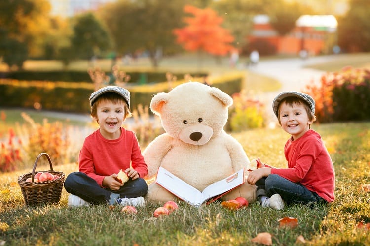 Teddy Bear Picnic