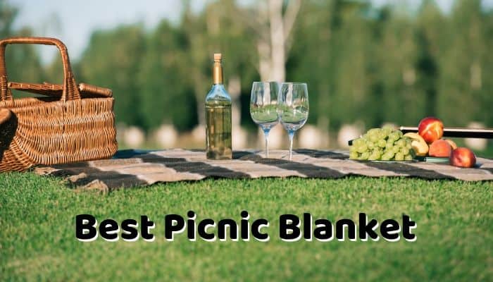 good picnic blanket