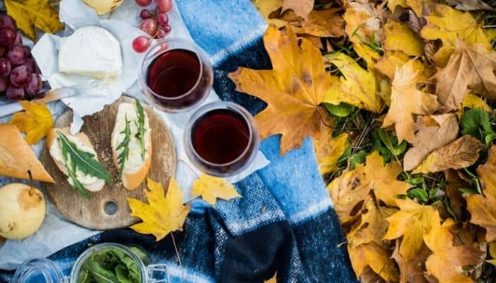 Perfect Fall Picnic Ideas