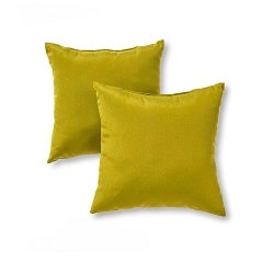 Green Outdoor Pillow