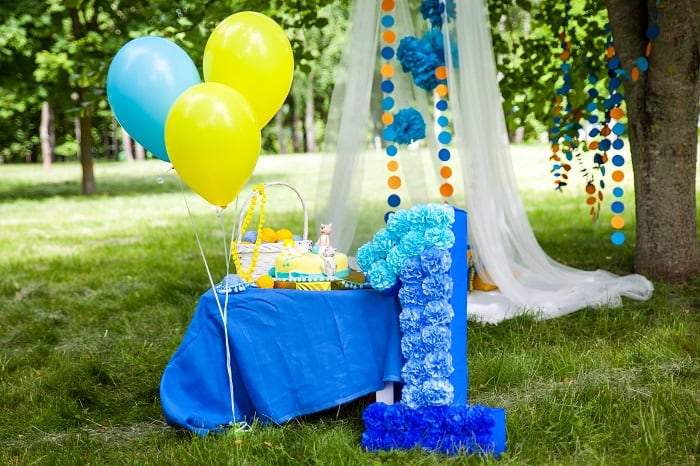 Picnic Birthday Party Ideas Outdoor Entertaining At Go Shindig