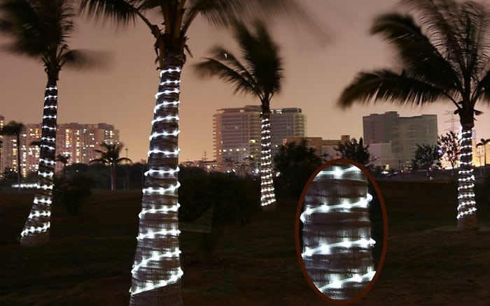 Solar Rope Lights