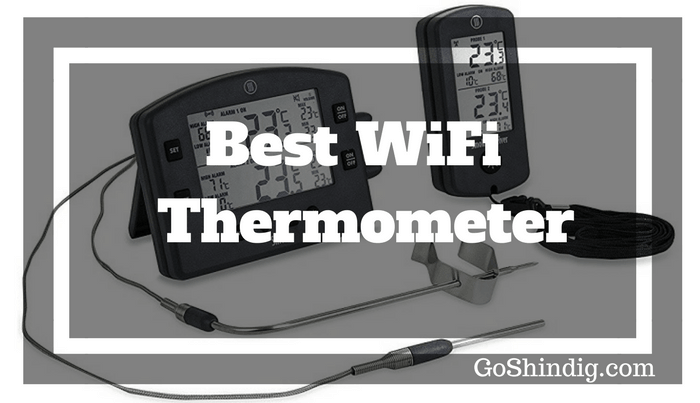 Best WiFi Thermometer