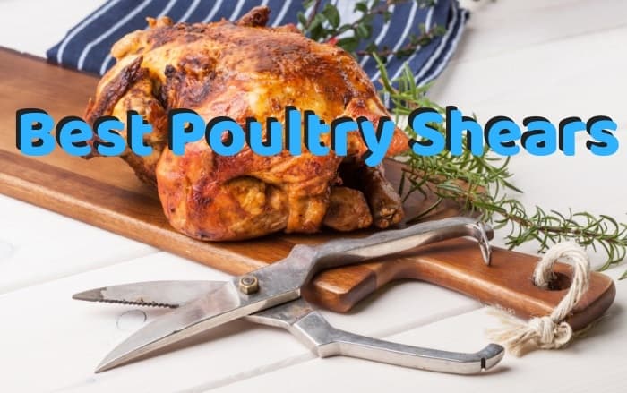 https://goshindig.com/wp-content/uploads/2018/12/best-poultry-shears.jpg