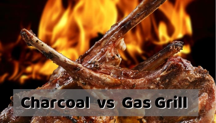 Charcoal vs Gas Grill