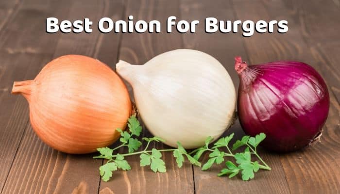 Best Onion for Burgers