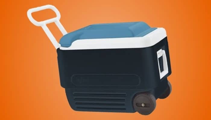 Igloo 40 Quart MaxCold Cooler