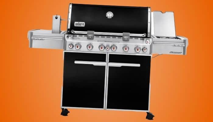 Summit E-670 Best Weber Gas Grill