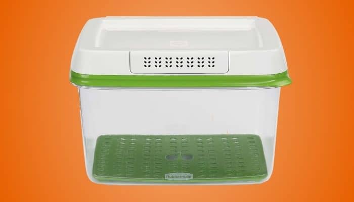 Lettuce Keeper - Food Storage Container - Starcrest