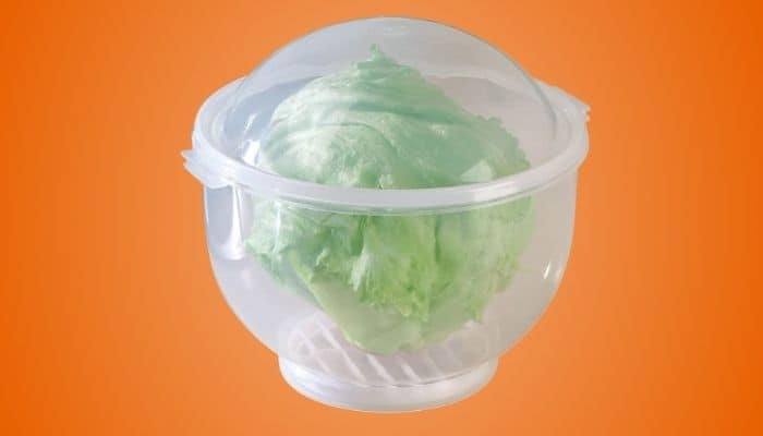 Walter Drake Lettuce Crisper Salad Keeper